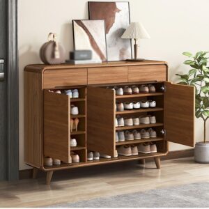 Modern Brown Shoe Rack Cabinet