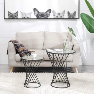 Center Table Set – 2 Pieces With Glass surface